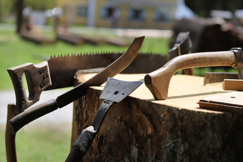 Verschiedene Holzwerkzeuge an großem Baumstamm