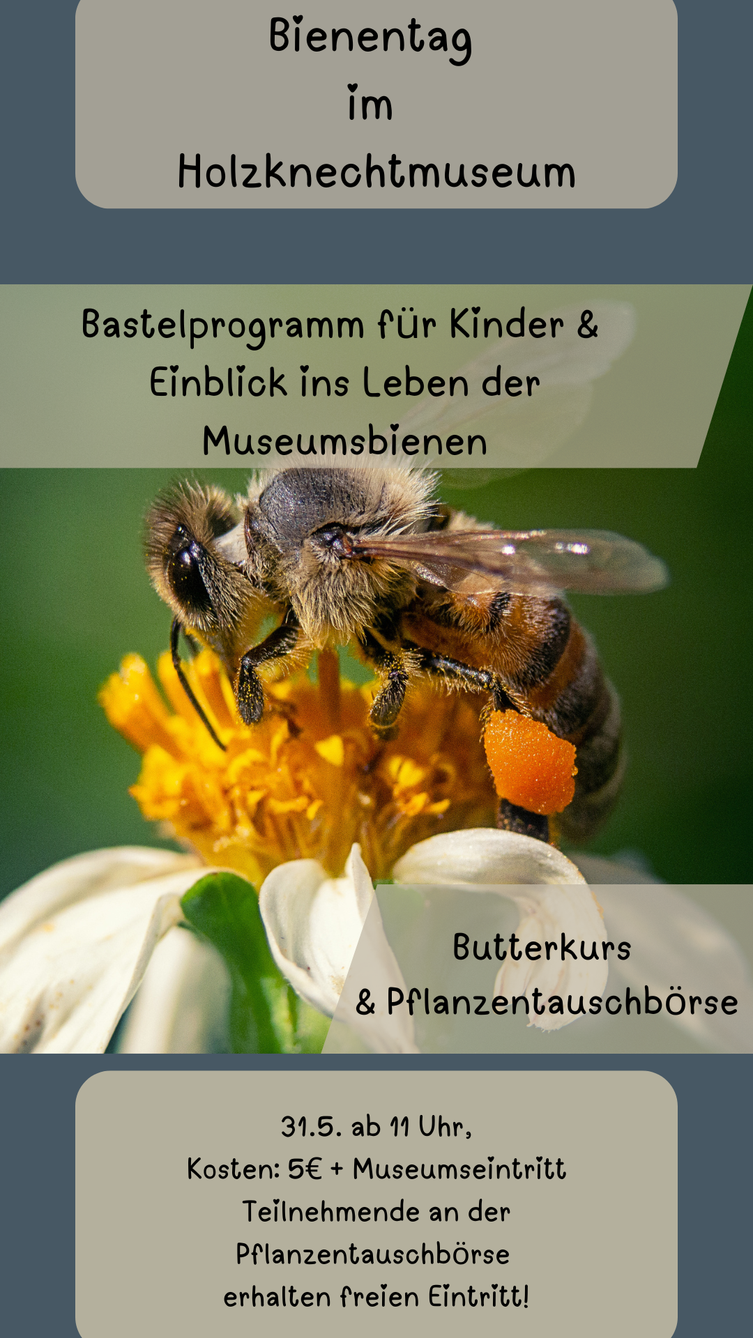 Bienentag 2025 im Holzknechtmuseum